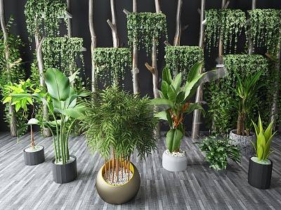 Modern potted plants potted plants potted plants green plants logs 3d model