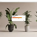 Various Potted Plants With Different Leaf Shapes And Colored Pots On Light Background