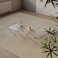 Modern Minimalist Sofa and Coffee Table Set with Glass Top Metal Frame and Plants
