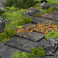 Natural Stepping Stones Path With Green Plants Fallen Leaves And Rocks