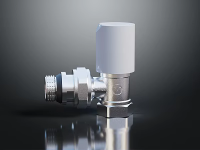 Silver Metal Valve With White Top And Threaded Connection For Plumbing Use 3d model