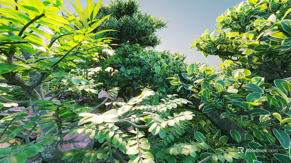 Various Lush Shrubs With Green Leaves Shining Under Warm Sunlight In Natural Garden Setting 3d model 