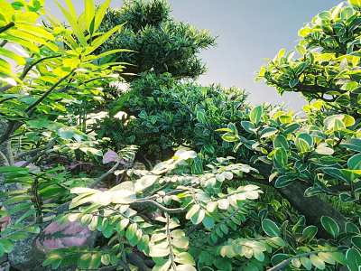 Various Lush Shrubs With Green Leaves Shining Under Warm Sunlight In Natural Garden Setting 3d model