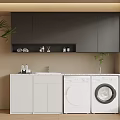 Modern Balcony Cabinet Interior With Grey Storage White Washer Dryer And Green Plants