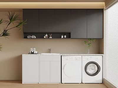 Modern Balcony Cabinet Interior With Grey Storage White Washer Dryer And Green Plants 3d model