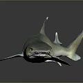 Grayish Blue Shark Model With Lifelike Details On Dark Reflective Background