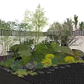 Varied Plant Combination in Garden Landscape with Trees Shrubs Flowers Stones Stepping Stones and Lantern