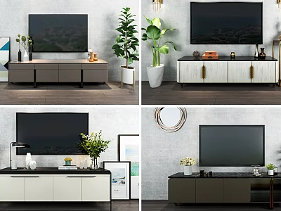 Modern TV Stand Designs With TV Indoor Plants And Decor Items 3d model