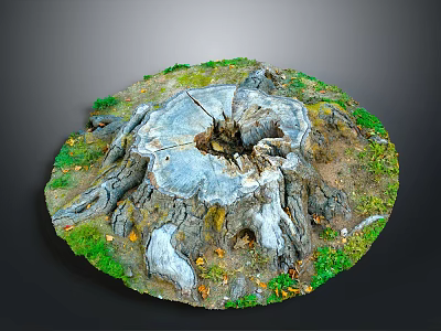 Detailed Tree Stump With Visible Growth Rings And Surrounding Grass 3d model