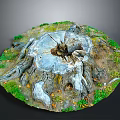 Detailed Tree Stump With Visible Growth Rings And Surrounding Grass