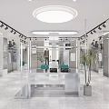 Modern Clothing Store Interior With Display Racks Mirrors Lighting And Plants