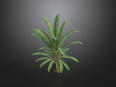 Vibrant Green Shrub With Lush Foliage And Tropical Leaf Design In Garden 3d model