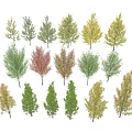 Different Types of Arbor Trees Featuring Green Yellow and Brown Foliage in Various Shapes