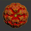 Vibrant Red And Orange Exotic Fruit With Floral Like Protrusions And Yellow Stem