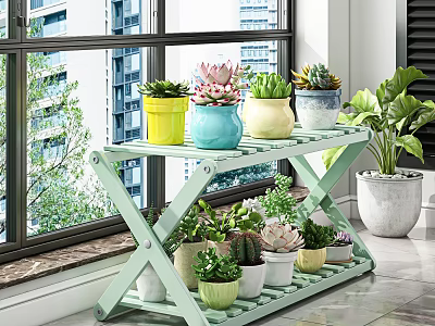 Green Multi Tiered Plant Stand With Colorful Potted Succulents By Window Sill 3d model