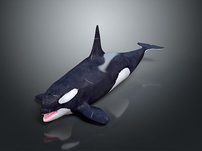 whale cartoon whale mammal marine mammal marine animal fish freshwater fish marine fish 3d model