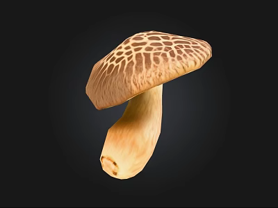 Isolated Brown Mushroom With Patterned Cap And Light Colored Stem On Black Background 3d model