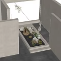 Modern Minimalist Indoor Landscape With Sculptural Tree Green Plants And Stones By Bright Window