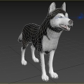 Modern Siberian Husky Husky Dog Dog Animal Creatures 3d model