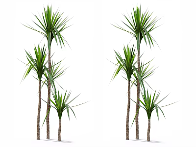 Lush Green Decorative Plants With Slender Trunks And Varied Heights 3d model