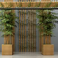 Elegant Indoor Bamboo Plants With Decorative Bamboo Screen And Wooden Planters