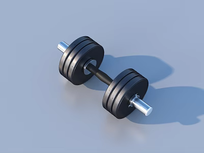 Sports Equipment Dumbbell for Fitness Training with Black Weight Plates and Metal Handle 3d model