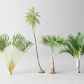 Modern Tree Landscape Tree 3d model
