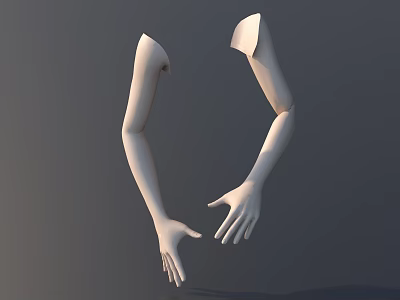 Detailed White Mannequin Arms With Posed Hands On Gray Studio Background 3d model