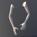 Detailed White Mannequin Arms With Posed Hands On Gray Studio Background 3d model