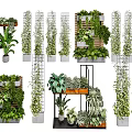 Decorative Multi Tier Shelving Units With Vertical Metal Frames And Indoor Greenery Plants