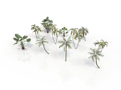 Tropical Palm Plants With Various Species Different Leaf Shapes Sizes And Heights For Decorative 3d model