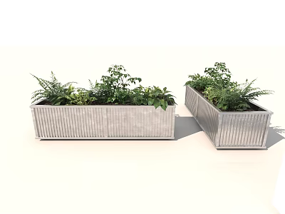 Stylish Rectangular Metal Planters With Green Ferns And Herbs For Garden Decor 3d model
