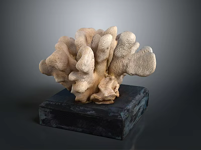Coral Shaped Sculpture Placed on Black Base for Decorative Art 3d model