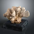 Coral Shaped Sculpture Placed on Black Base for Decorative Art