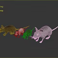 Group of Brown White and Gray Mice on Dark Background Surface