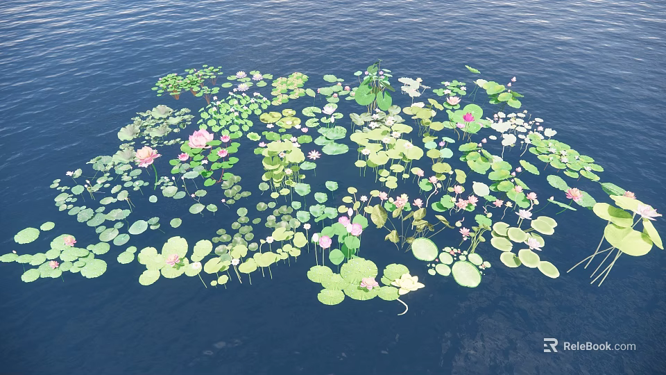 Aquatic Plants Including Lotus Leaves And Pink Lotus Flowers Floating On Water Surface 3d model 