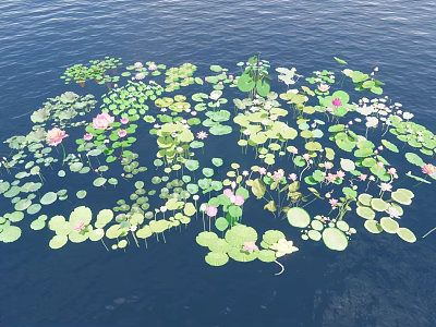 Aquatic Plants Including Lotus Leaves And Pink Lotus Flowers Floating On Water Surface 3d model