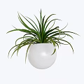 Bonsai Potted Plant with White Round Pot and Long Green Leaves Modern Minimalist Indoor Decoration
