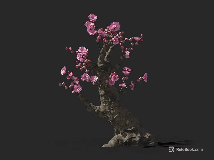 Bonsai Plant With Pink Blossoms And Artistic Trunk For Indoor Decoration 3d model 