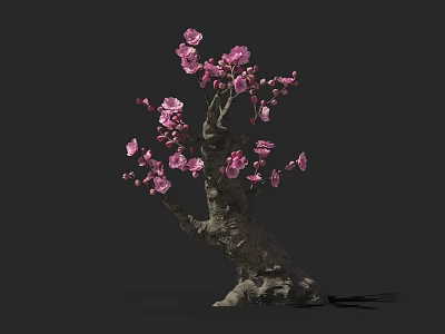 Bonsai Plant With Pink Blossoms And Artistic Trunk For Indoor Decoration 3d model