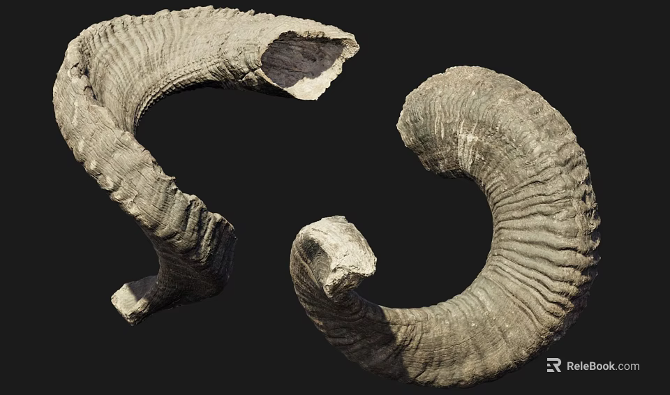 Curved Textured Horn Shaped Garden Ornaments For Natural Rustic Outdoor Decoration 3d model 