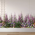 Colorful Garden Flowers Arrangement With Purple Pink White Blooms And Green Foliage