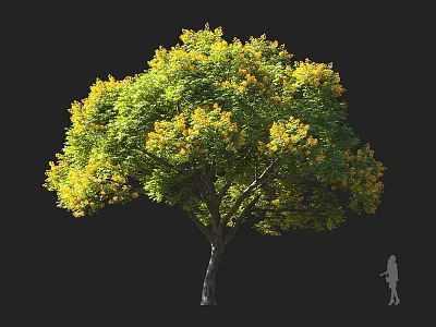 Tall Arbor With Green And Yellow Leaves And Person Silhouette Nearby 3d model