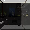 Modern Bathroom Toilet with Dark Wooden Panels Mirror Shelves and Shower Area