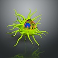 modern eukaryotic cell cross section cell structure cell tissue 3d model