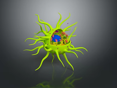 Green Structured Medical Device With Tentacle Design And Internal Colorful Components 3d model