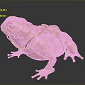 Decorative Golden Toad Statue With Shiny Surface Neck Collar And Back Ornament