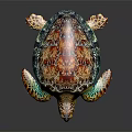 Colorful Sea Turtle With Vibrant Shell And Patterned Flippers On Black Background 3d model