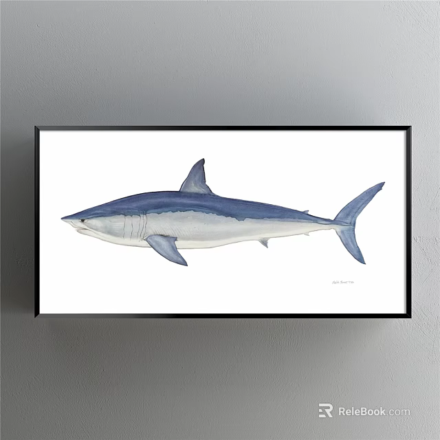 Blue And White Shark Watercolor Animal Painting In Black Frame Wall Art 3d model 