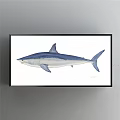 Blue And White Shark Watercolor Animal Painting In Black Frame Wall Art